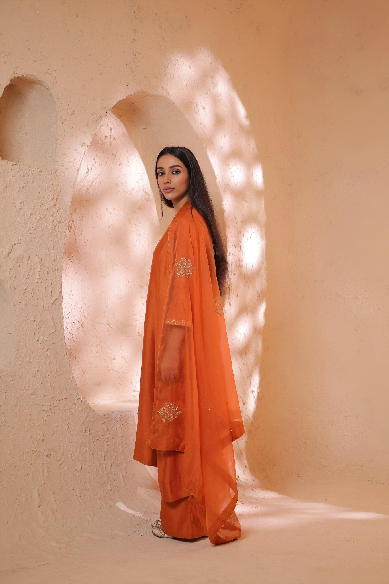 Shagna rust kurta set
