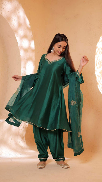 Shagna green choga set