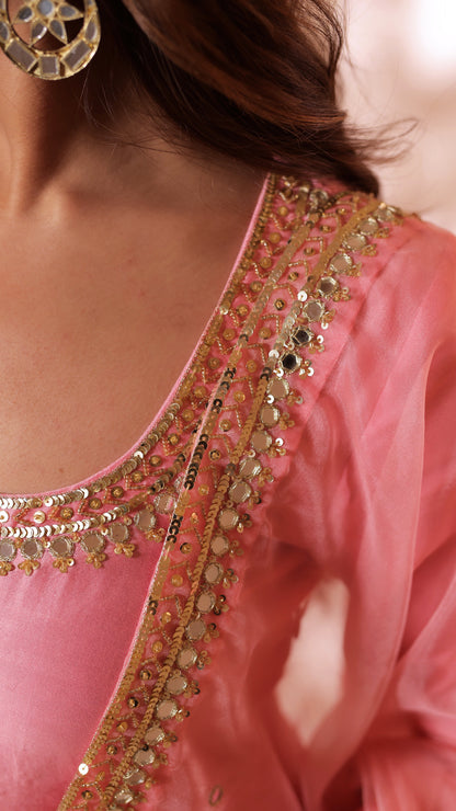 Shagna pink anarkali