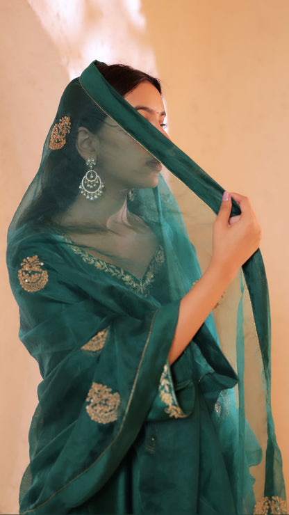 Shagna green choga set