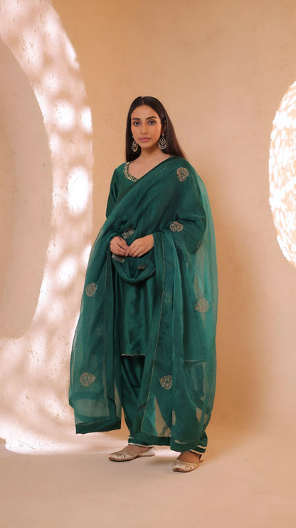 Shagna green choga set