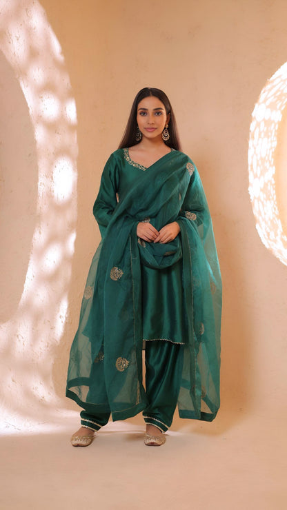 Shagna green choga set