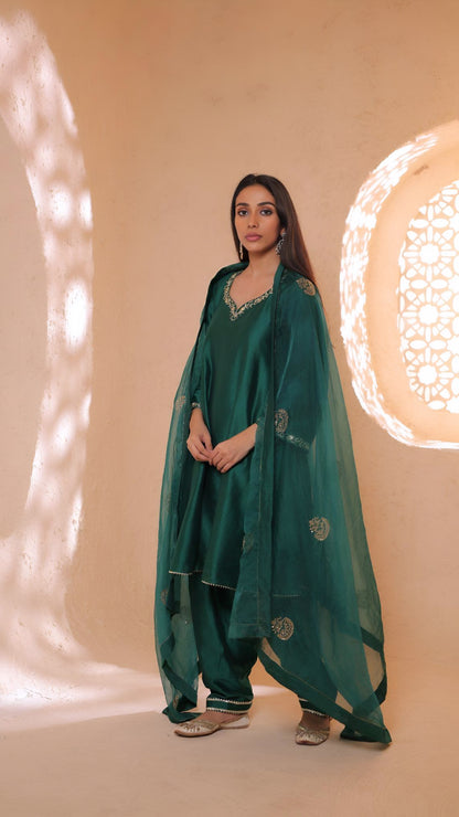 Shagna green choga set