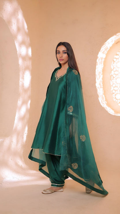 Shagna green choga set